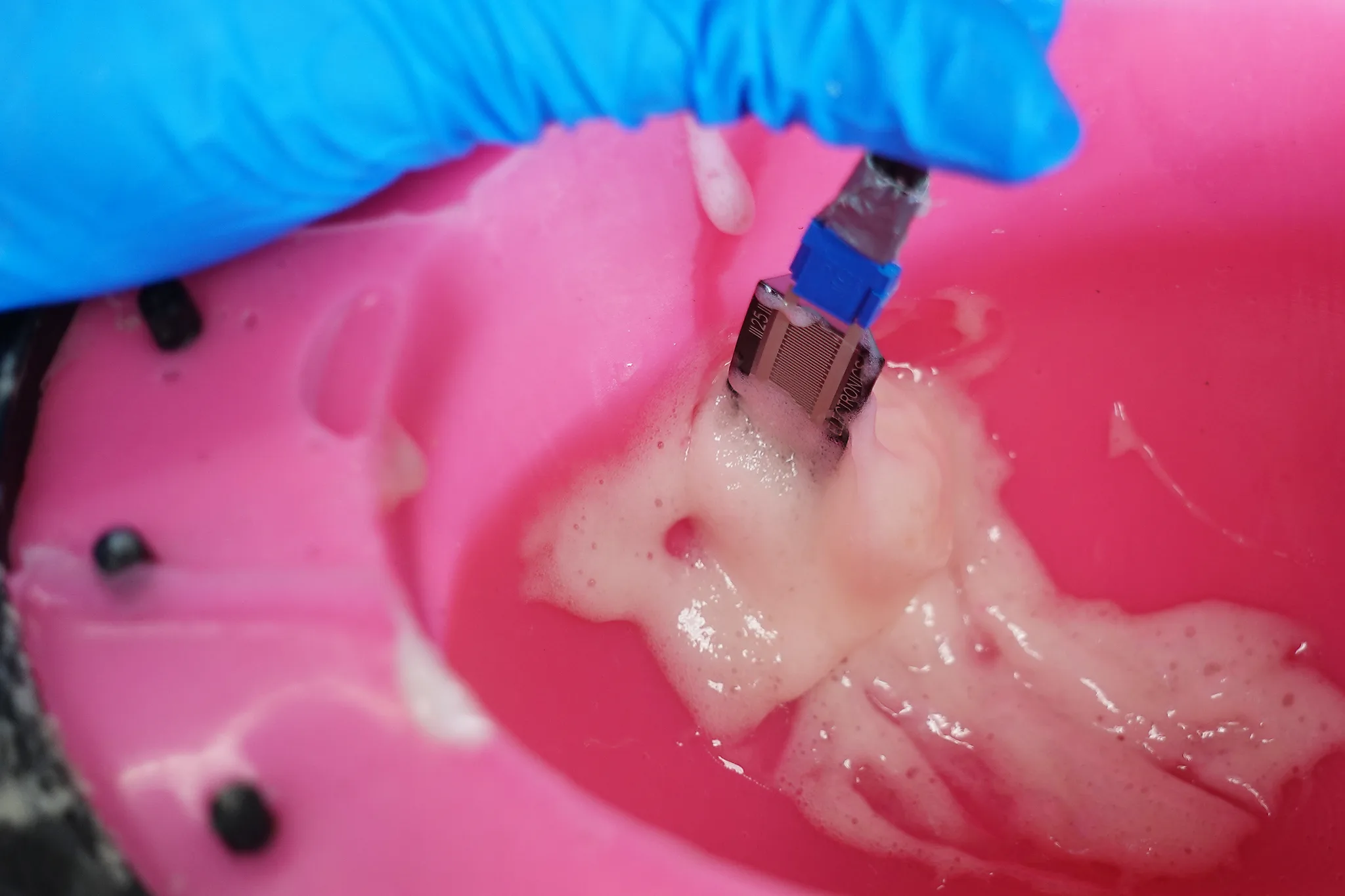Photograph of a gloved hand pressing a force-sensitive resistor down into polyurethane foam rising inside the pink silicone udder