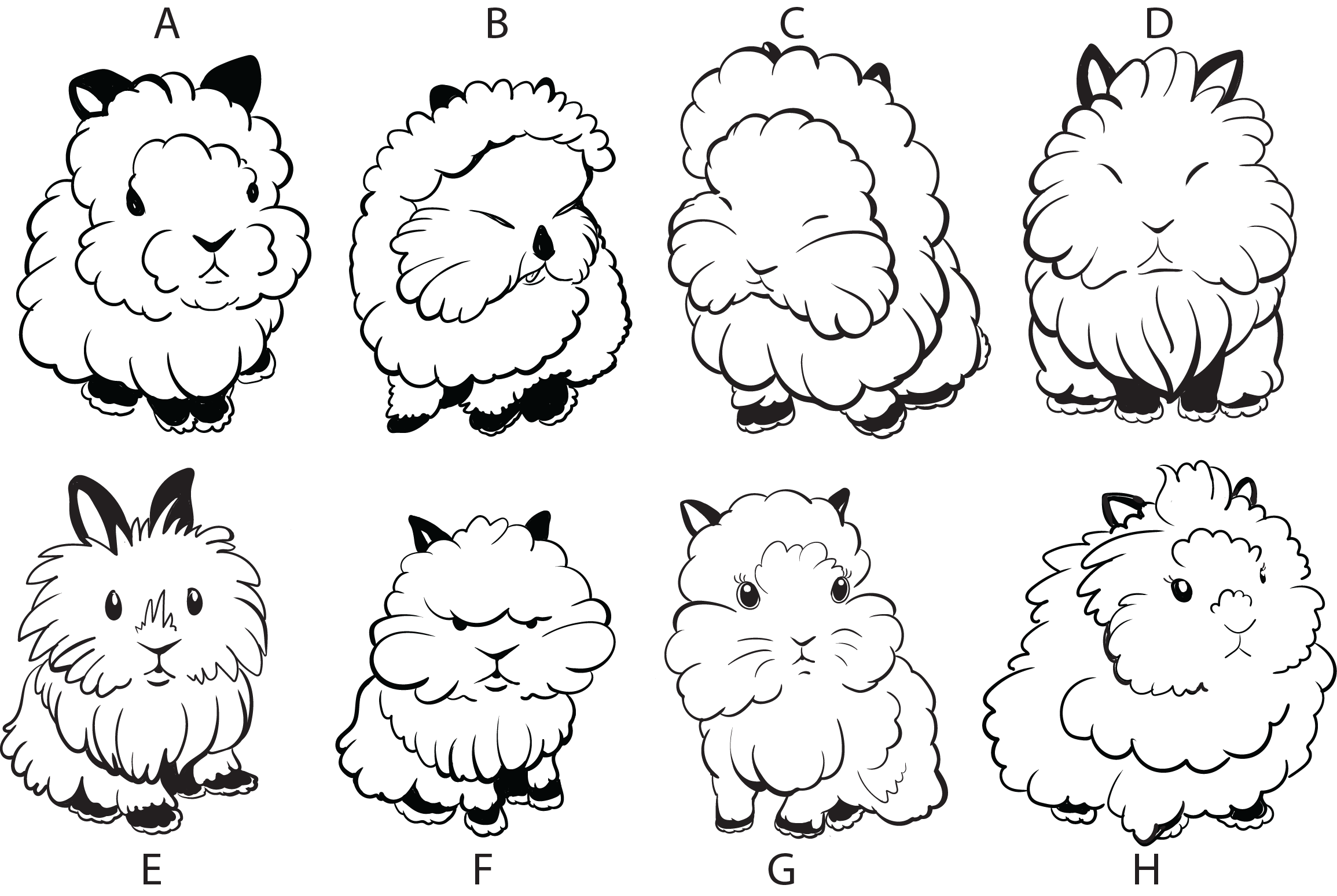 The image features a collection of eight cartoon-style illustrations of fluffy animals, each labeled with letters A through H. The animals have round bodies and fluffy fur, resembling a mix of sheep and rabbits. - A: A fluffy animal with a serious expression and black ears. - B: A similar fluffy creature with a playful expression. - C: A round, fluffy animal with a closed-eyed smile. - D: A fluffy animal with a confident stance and upright ears. - E: A fluffy creature with rabbit ears and a curious expression. - F: A fluffy animal with a slightly grumpy look. - G: A fluffy creature with large eyes and a neutral expression. - H: A fluffy animal with a mix of features, looking inquisitive. The illustrations are outlined in black and lack color, emphasizing their shapes and expressions.