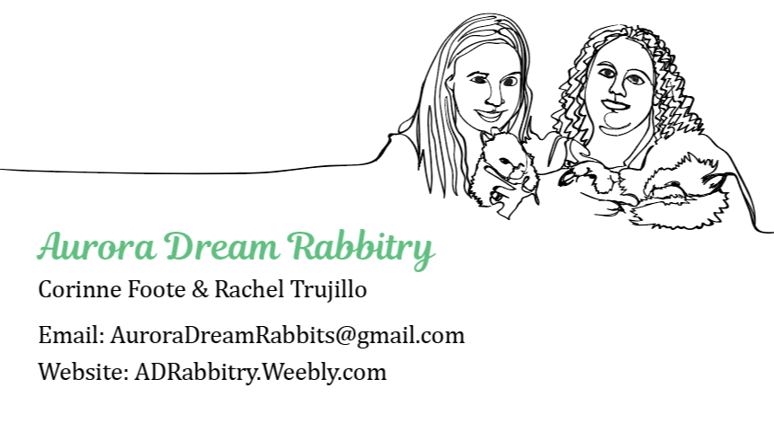 The image is a business card design for "Aurora Dream Rabbitry." It features a simple line drawing of two individuals holding rabbits. The text includes the names "Corinne Foote & Rachel Trujillo" and provides contact information: an email address (AuroraDreamRabbits@gmail.com) and a website (ADRabbity.Weebly.com). The card has a clean layout with the business name prominently displayed in a decorative green font, creating a professional appearance for the rabbitry.