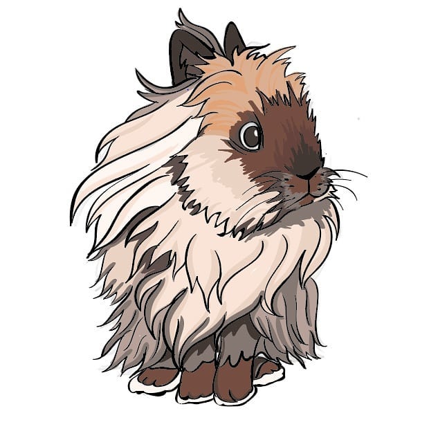 The image features a cartoon-style illustration of a fluffy rabbit. The rabbit has long, soft fur in shades of cream, brown, and gray, with distinctive markings on its face. Its ears are upright, and it has large, expressive eyes. The rabbit is depicted in a sitting position, showcasing its rounded body and fluffy tail. The overall design emphasizes the rabbit's adorable features and fluffy texture, set against a plain white background.