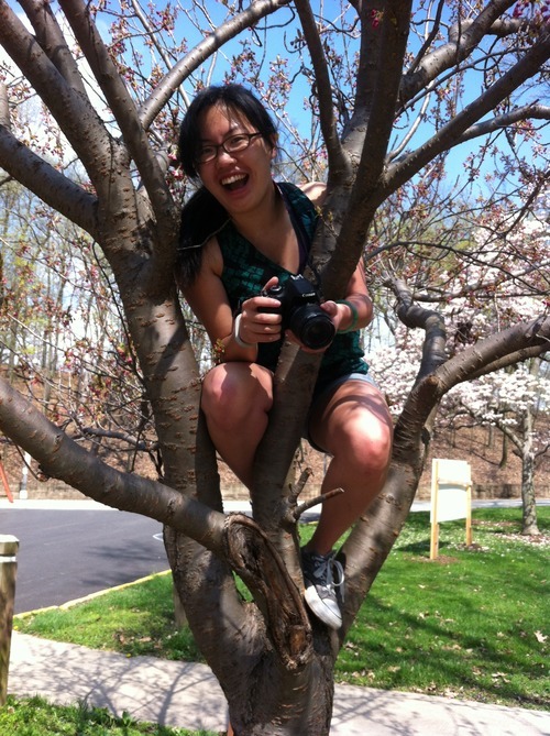 Photograph of a woman in a tree laughing while holding a camera