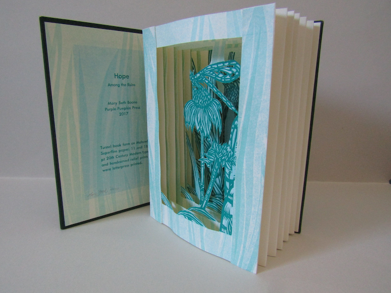 A photograph of a tunnel book with a scene of a dragonfly and flower